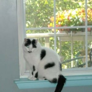 Meet your Posher, Bethann